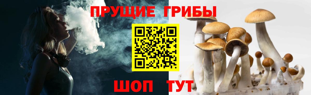 Лосино-Петровский  Псилоцибиновые грибы прущие грибы  Вход с VPN  Галлюциногенные грибы Cubensis 